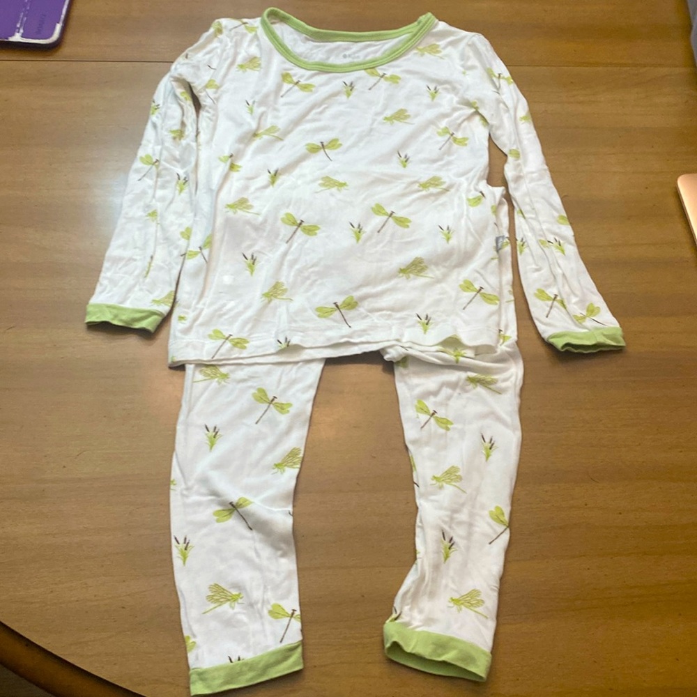 Kyte baby 3T dragonfly long sleeve pajamas